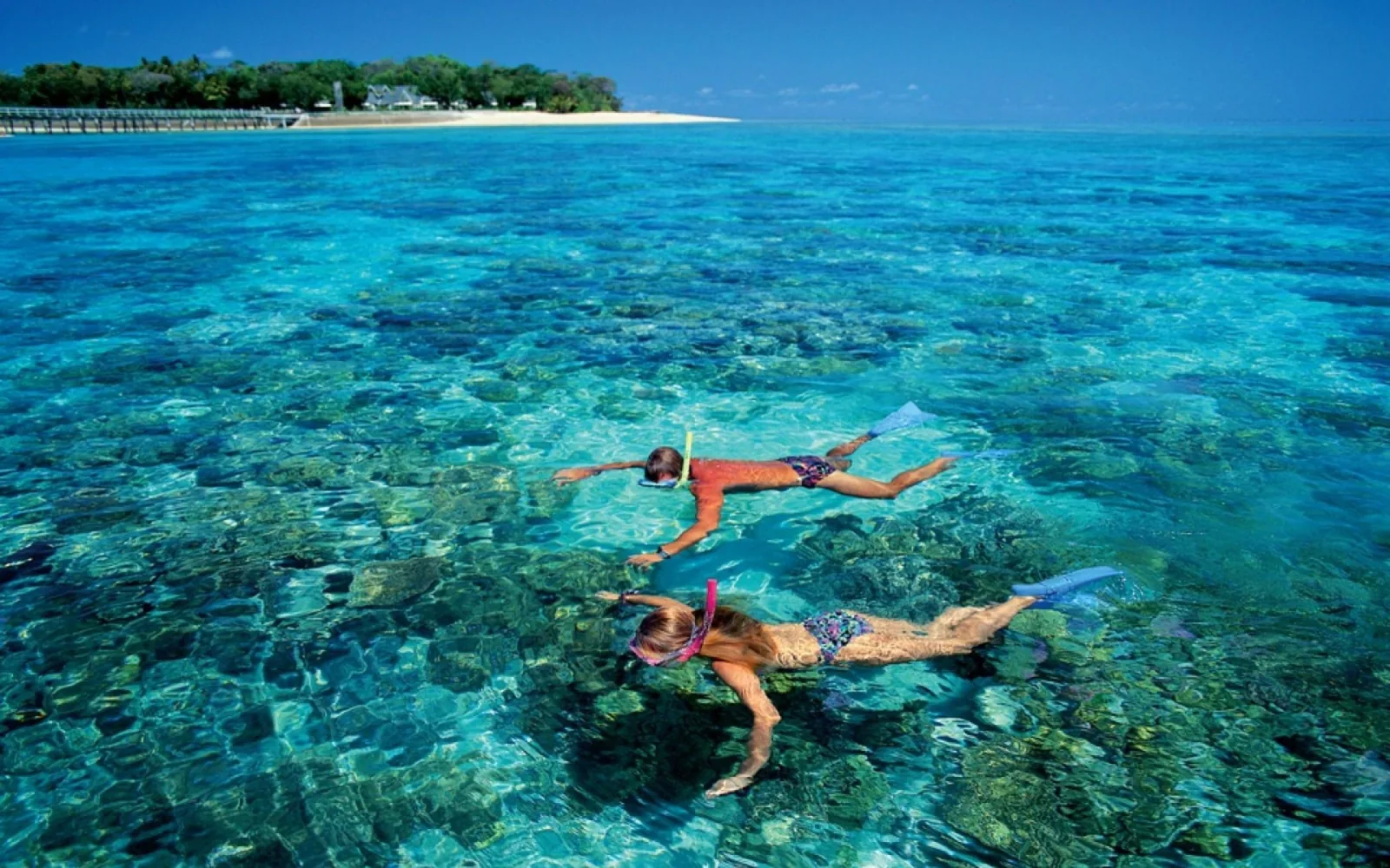 Guías locales de Seastar en West Bay Beach, Roatán